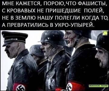 https://upforme.ru/uploads/001b/92/d8/385/t925231.jpg