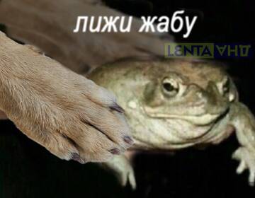 https://upforme.ru/uploads/001b/92/d8/385/t940633.jpg