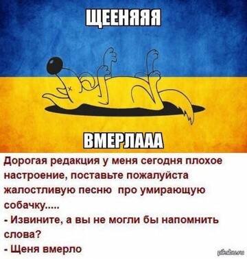 https://upforme.ru/uploads/001b/92/d8/435/t206149.jpg