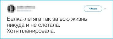 https://upforme.ru/uploads/001b/92/d8/435/t577499.jpg