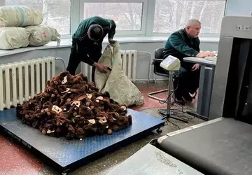 https://upforme.ru/uploads/001b/92/d8/435/t726817.webp