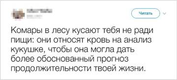 https://upforme.ru/uploads/001b/92/d8/435/t796970.jpg