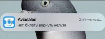 https://upforme.ru/uploads/001b/92/d8/455/t176087.jpg