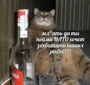 https://upforme.ru/uploads/001b/92/d8/455/t228366.jpg