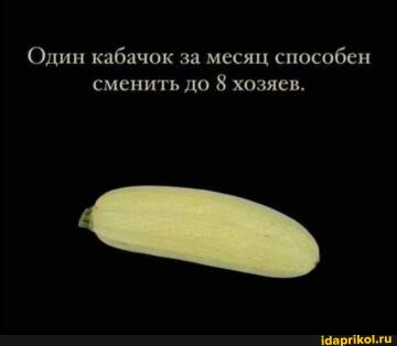 https://upforme.ru/uploads/001b/92/d8/455/t231350.jpg