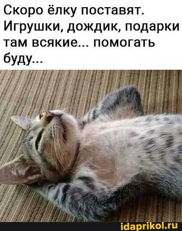https://upforme.ru/uploads/001b/92/d8/455/t260109.jpg