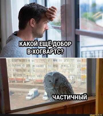https://upforme.ru/uploads/001b/92/d8/455/t280617.jpg