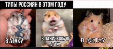 https://upforme.ru/uploads/001b/92/d8/455/t433656.jpg