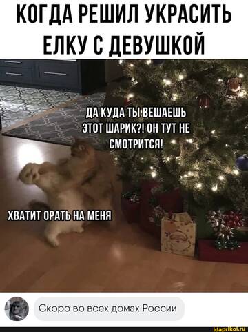 https://upforme.ru/uploads/001b/92/d8/455/t563986.jpg