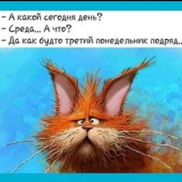 https://upforme.ru/uploads/001b/92/d8/455/t582341.jpg