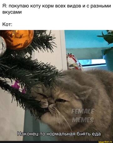 https://upforme.ru/uploads/001b/92/d8/455/t652511.jpg