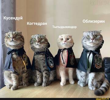 https://upforme.ru/uploads/001b/92/d8/455/t690029.jpg