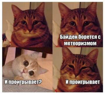 https://upforme.ru/uploads/001b/92/d8/455/t732478.jpg