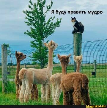 https://upforme.ru/uploads/001b/92/d8/455/t823983.jpg