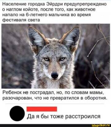 https://upforme.ru/uploads/001b/92/d8/455/t941979.jpg