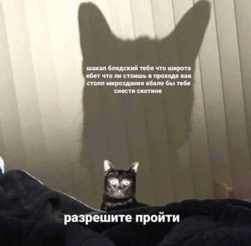 https://upforme.ru/uploads/001b/92/d8/49/t102360.jpg