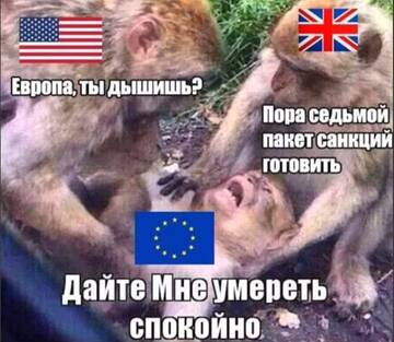 https://upforme.ru/uploads/001b/92/d8/49/t157327.jpg