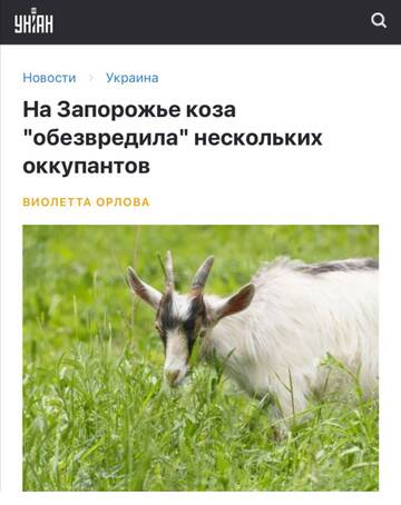 https://upforme.ru/uploads/001b/92/d8/49/t465651.jpg