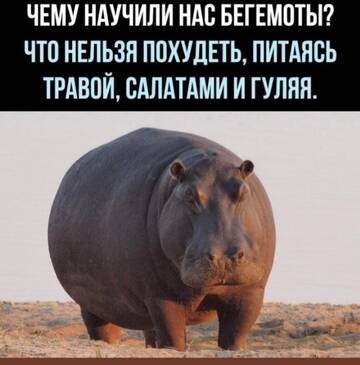 https://upforme.ru/uploads/001b/92/d8/508/t211441.jpg
