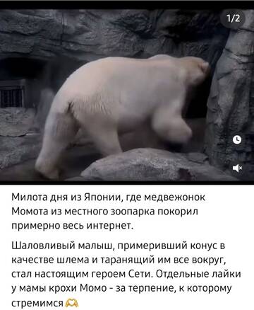 https://upforme.ru/uploads/001b/92/d8/508/t406255.jpg