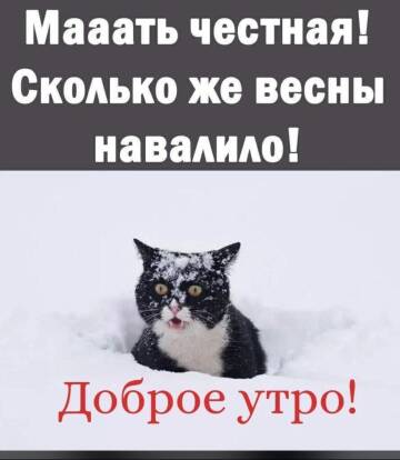 https://upforme.ru/uploads/001b/92/d8/508/t592157.jpg