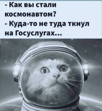 https://upforme.ru/uploads/001b/92/d8/508/t601449.jpg