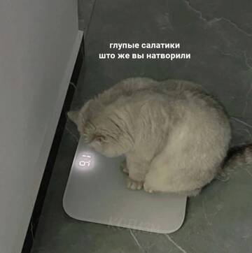 https://upforme.ru/uploads/001b/92/d8/508/t620947.jpg