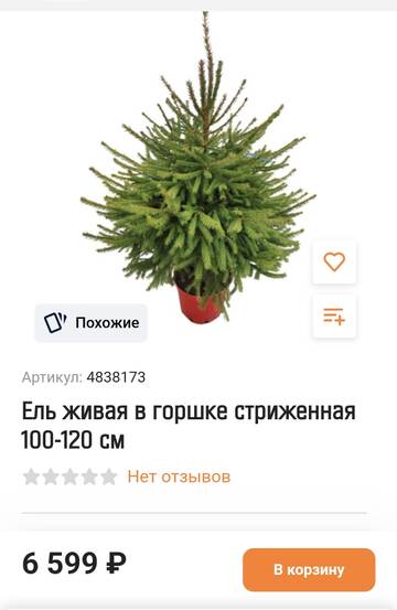 https://upforme.ru/uploads/001b/92/d8/508/t629355.jpg