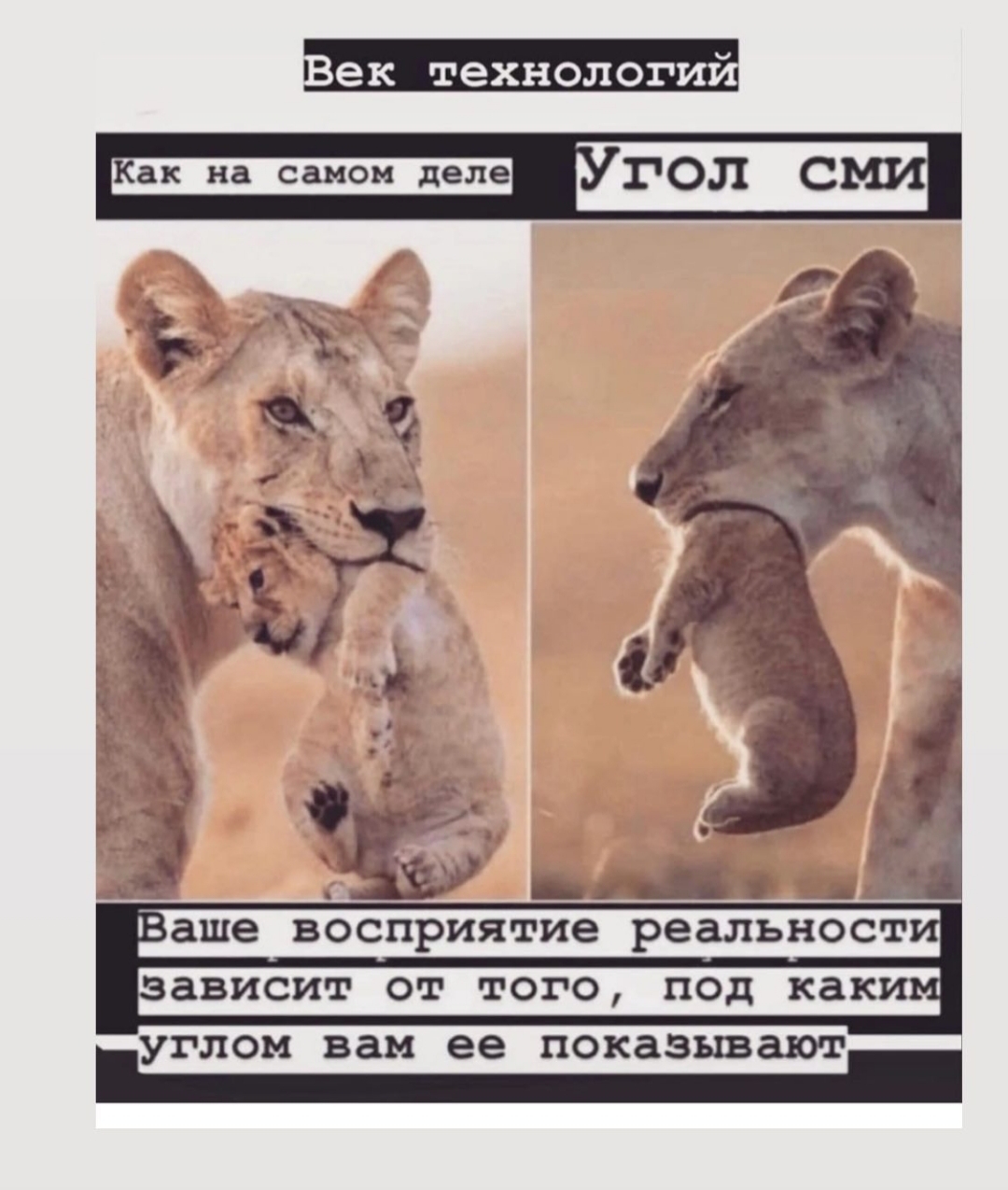 https://upforme.ru/uploads/001b/92/d8/65/624055.jpg