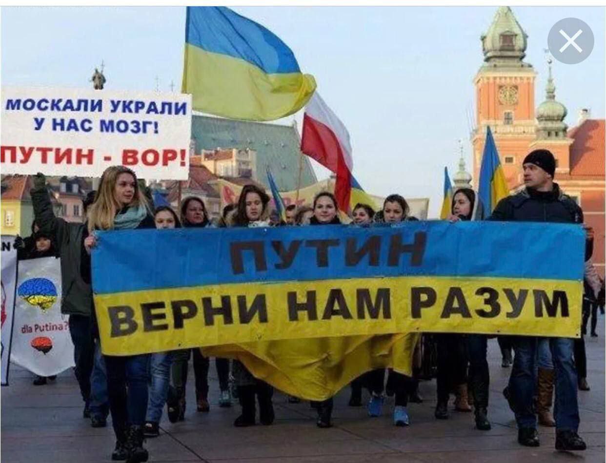 https://upforme.ru/uploads/001b/92/d8/66/185066.jpg