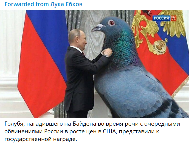 https://upforme.ru/uploads/001b/92/d8/66/571168.png