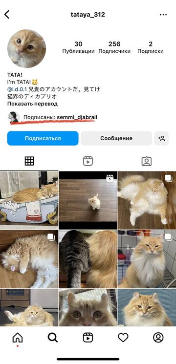 https://upforme.ru/uploads/001b/92/d8/692/t503553.jpg