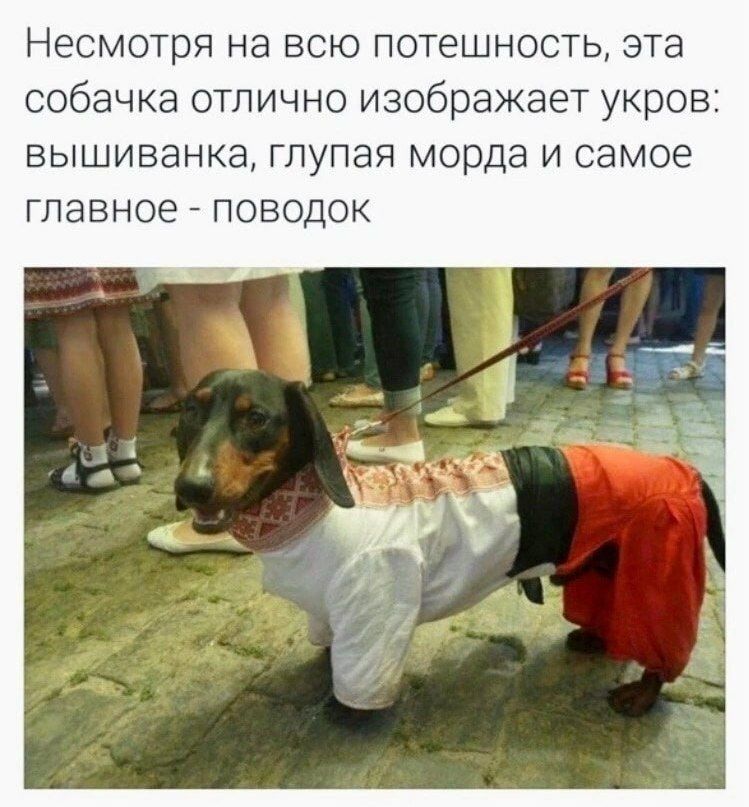 https://upforme.ru/uploads/001b/92/d8/75/378110.jpg
