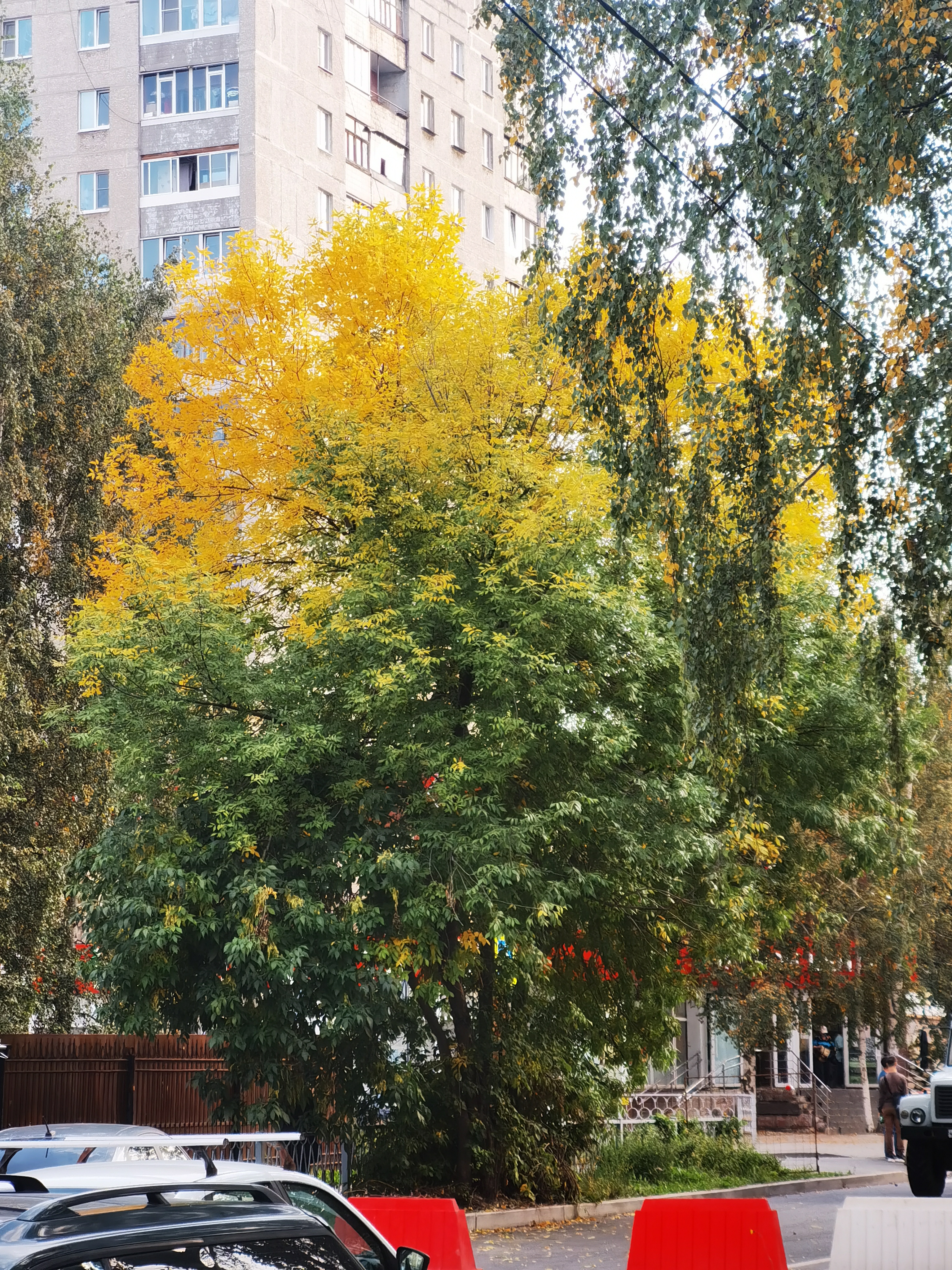 https://upforme.ru/uploads/001b/92/d8/75/827156.jpg