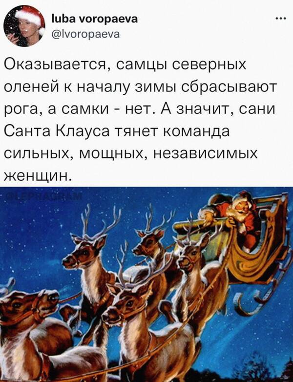 https://upforme.ru/uploads/001b/92/d8/75/t354821.jpg