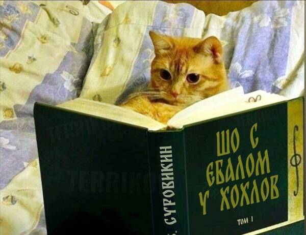 https://upforme.ru/uploads/001b/92/d8/75/t388784.jpg