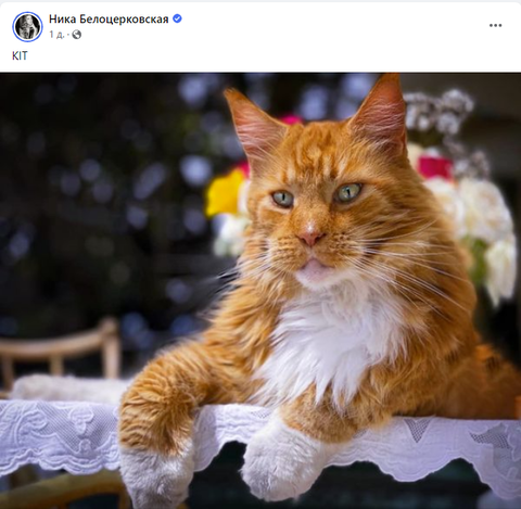 https://upforme.ru/uploads/001b/92/d8/75/t521062.png