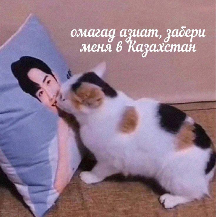 https://upforme.ru/uploads/001b/92/d8/757/411287.jpg
