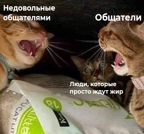 https://upforme.ru/uploads/001b/92/d8/757/655086.jpg