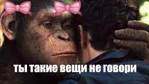 https://upforme.ru/uploads/001b/92/d8/757/778465.jpg
