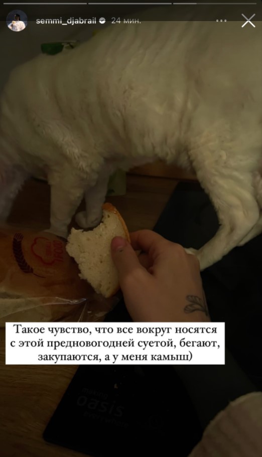 https://upforme.ru/uploads/001b/92/d8/757/899186.jpg