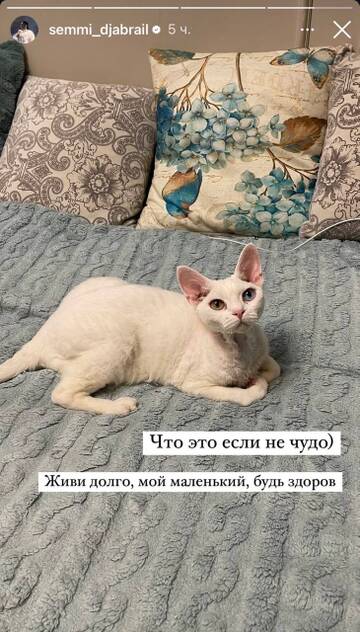 https://upforme.ru/uploads/001b/92/d8/757/t573828.jpg