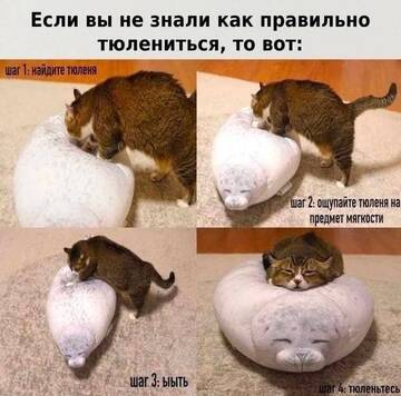 https://upforme.ru/uploads/001b/92/d8/760/t340433.jpg