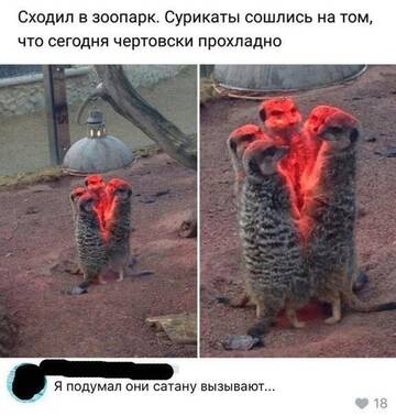 https://upforme.ru/uploads/001b/92/d8/760/t707632.jpg