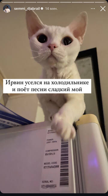 https://upforme.ru/uploads/001b/92/d8/792/t178730.jpg