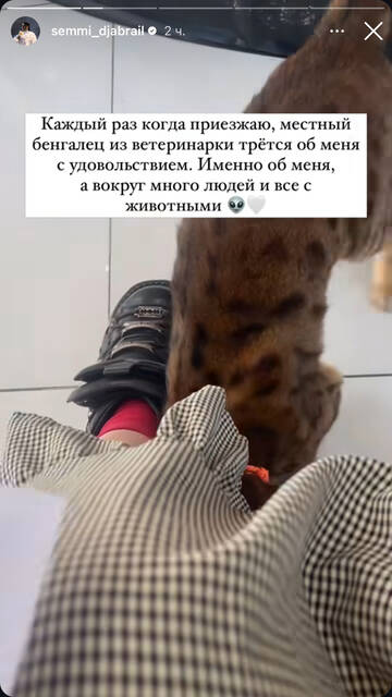 https://upforme.ru/uploads/001b/92/d8/792/t343347.jpg