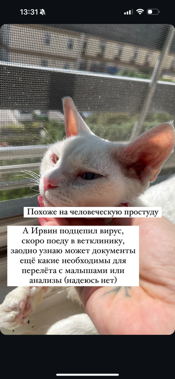 https://upforme.ru/uploads/001b/92/d8/792/t683375.png