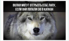 https://upforme.ru/uploads/001b/92/d8/792/t831918.jpg