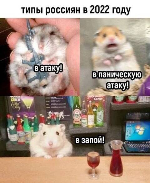 https://upforme.ru/uploads/001b/92/d8/80/t708082.jpg