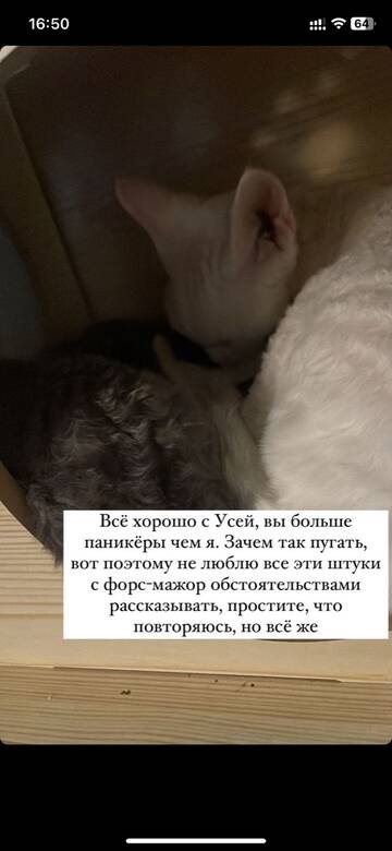https://upforme.ru/uploads/001b/92/d8/801/t680301.jpg